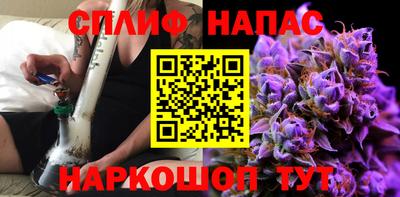 гашик Кунгур