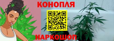 гашик Кунгур