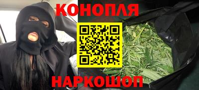 гашик Кунгур